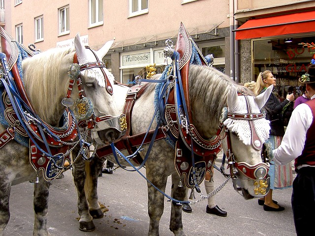 Brauerei Pferde